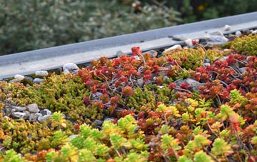 the cost of Gagingwell green roof installation