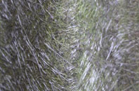 Gagingwell fibreglass roof work